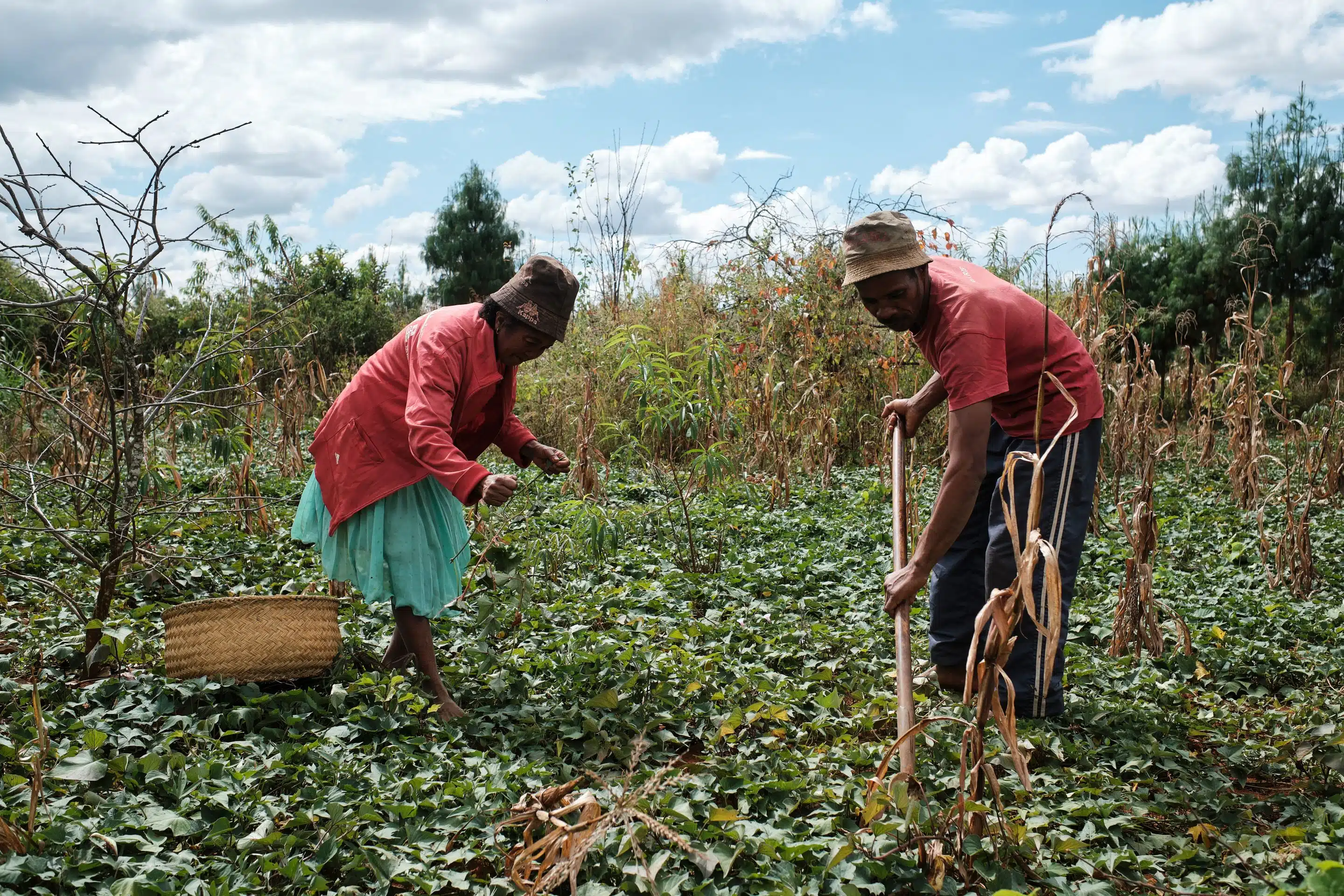 Madagaskar ANTANANARIVO 2024